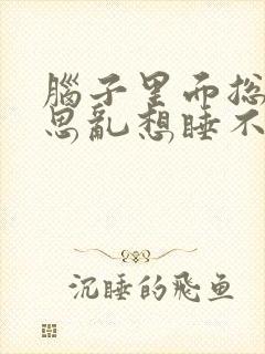 脑子里面总是胡思乱想睡不着