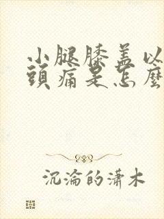 小腿膝盖以下骨头痛是怎么回事封面