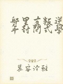 哪里有叛逆青少年封闭式学校