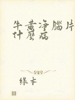 牛黄净脑片主治什么病封面