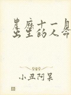 农历十一月十七出生的人命运