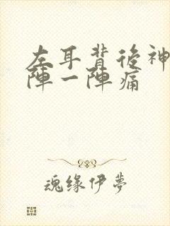 左耳背后神经一阵一阵痛封面