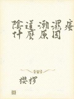 阴道潮湿瘙痒是什么原因