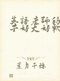 英语老师的小兔子好大好软水封面