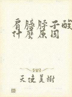 肩膀脖子酸痛是什么原因