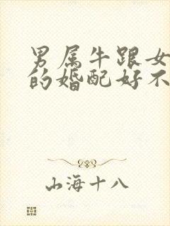 男属牛跟女属兔的婚配好不好