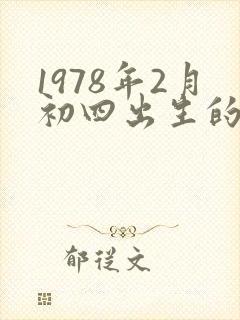 1978年2月初四出生的马一生命运