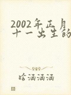 2002年正月十一出生的男孩命运封面
