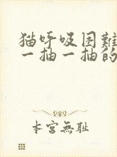 猫呼吸困难肚子一抽一抽的封面