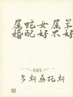 属蛇女属羊男的婚配好不好封面