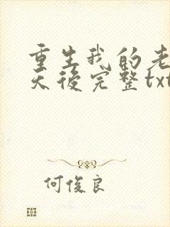 重生我的老婆是天后完整txt下载封面