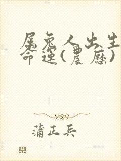 属兔人出生日的命运(农历)封面