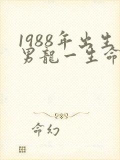 1988年出生男龙一生命运封面