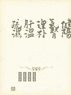 疏肝理气健脾祛湿温补肾阳