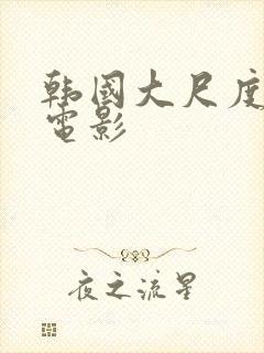 韩国大尺度惊悚电影封面