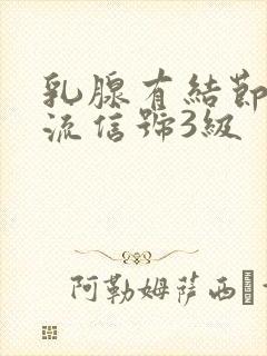乳腺有结节有血流信号3级
