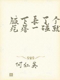 腋下长了个小红疙瘩一碰就疼