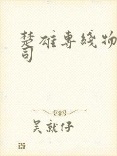 楚雄专线物流公司