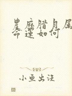 农历腊月属狗女命运如何封面