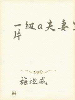 一级a夫妻生活片