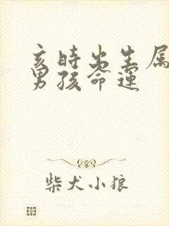 亥时出生属牛的男孩命运