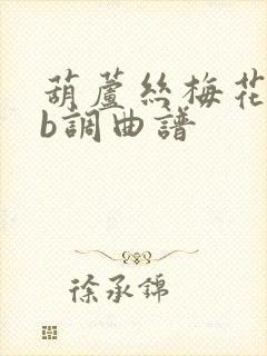 葫芦丝梅花泪降b调曲谱