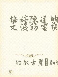 梅婷陈道明王志文演的电视剧叫什么封面