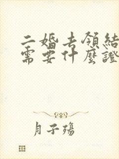 二婚去领结婚证需要什么证件