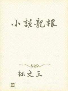 小说龙根