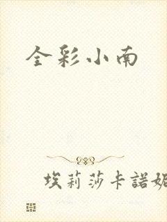 全彩小南封面