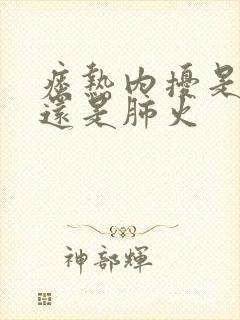 痰热内扰是肝火还是肺火