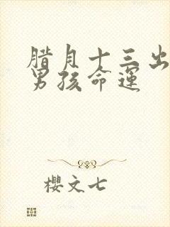 腊月十三出生的男孩命运