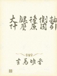 大腿后侧抽筋是什么原因引起的