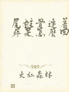 尾椎骨连着屁股疼是怎么回事封面