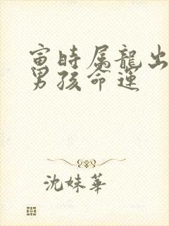 寅时属龙出生的男孩命运