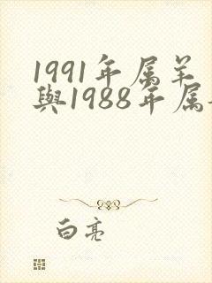 1991年属羊与1988年属龙婚配
