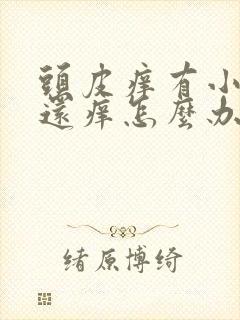 头皮痒有小疙瘩还痒怎么办封面