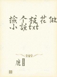 捡个校花做老婆小说txt封面