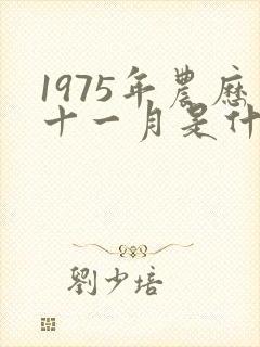 1975年农历十一月是什么命