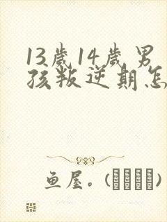 13岁14岁男孩叛逆期怎么办