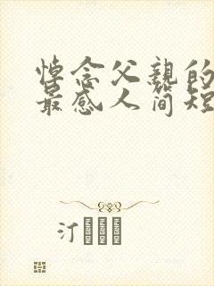 悼念父亲的悼词最感人简短