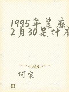 1995年农历2月30是什么命