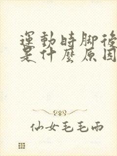 运动时脚后跟疼是什么原因