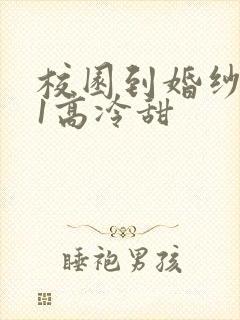 校园到婚纱1V1高冷甜