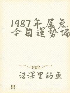 1987年属兔今日运势偏财运