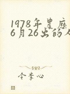 1978年农历6月26出的人命运