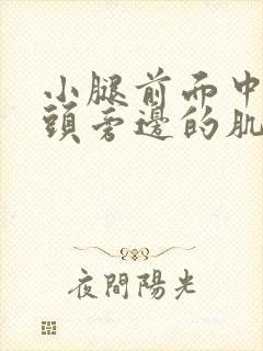 小腿前面中间骨头旁边的肌肉酸痛封面