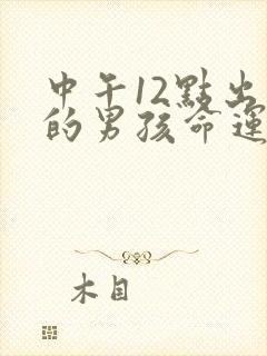 中午12点出生的男孩命运