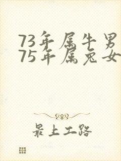 73年属牛男和75年属兔女的婚姻如何封面