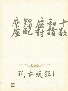 摩羯座和十二星座配对指数